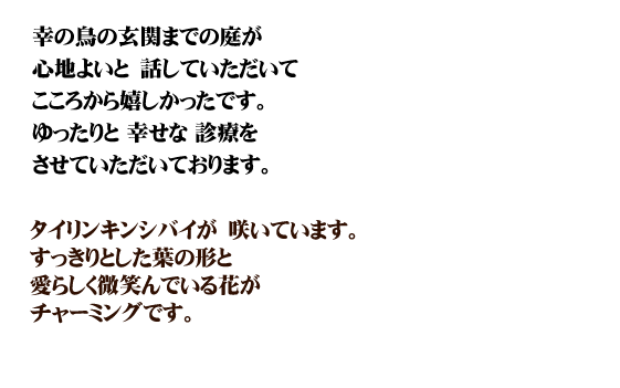 m点