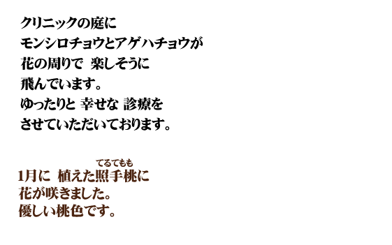 ���m�点