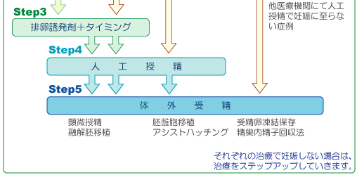 不妊治療チャート